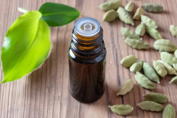 Cardamon Essential Oil