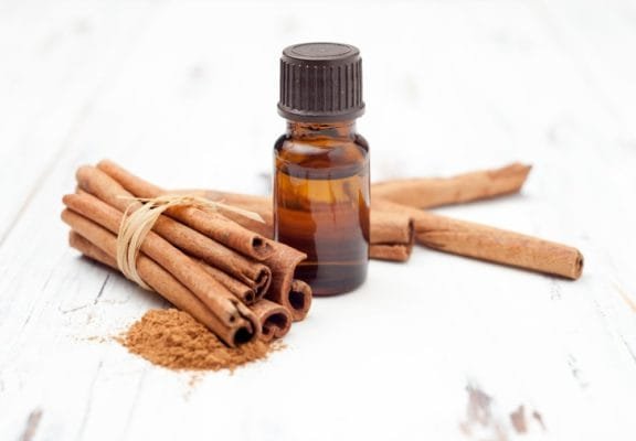 Cinnamon Bark Essential Oil