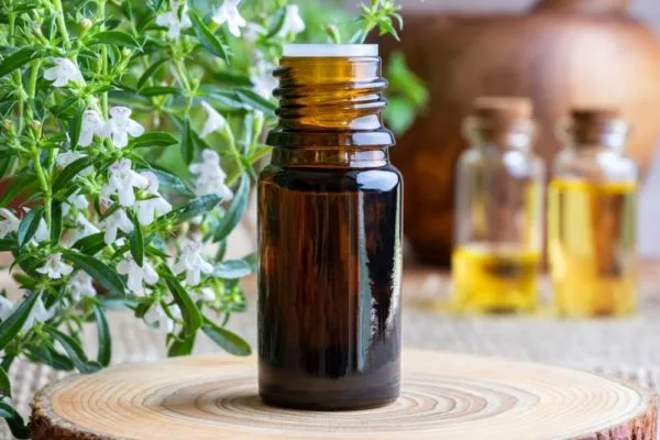 Mountain Savory Essential Oil