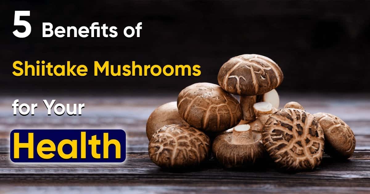 5 Benefits of Shiitake Mushrooms for Your Health