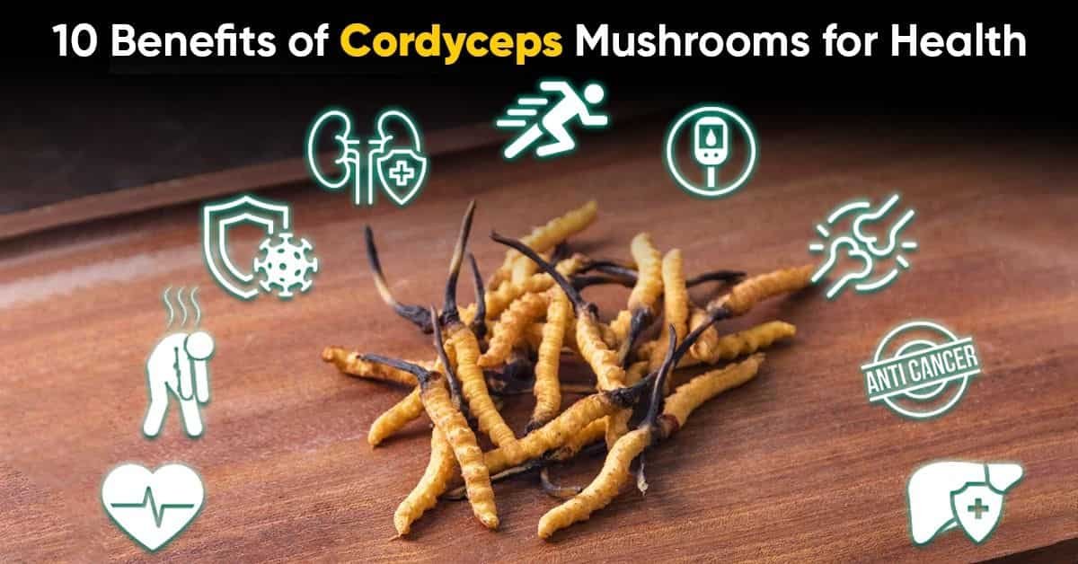 Benefits of Cordyceps Mushrooms for Health