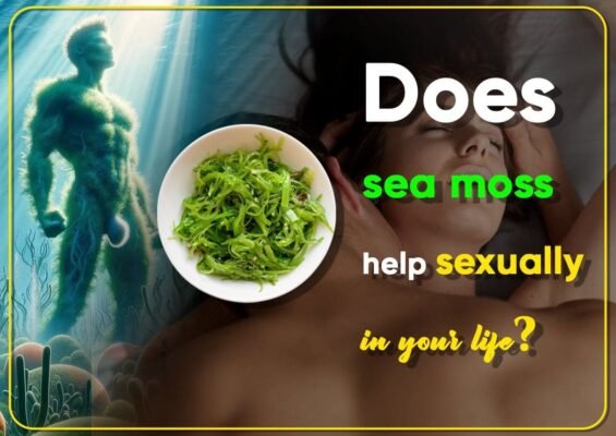 Does sea moss help sexually in your life?