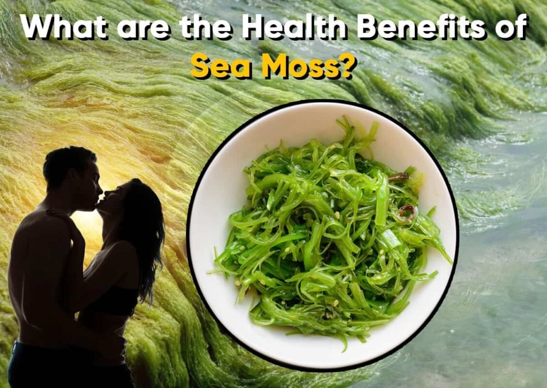 What are the Health Benefits of Sea Moss